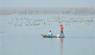 birdwatching near bijnor
